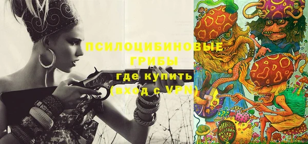 экстази Богородицк