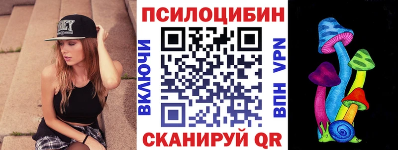 Псилоцибиновые грибы Cubensis Можайск